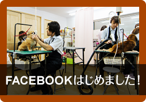 facebook／フェイスブック